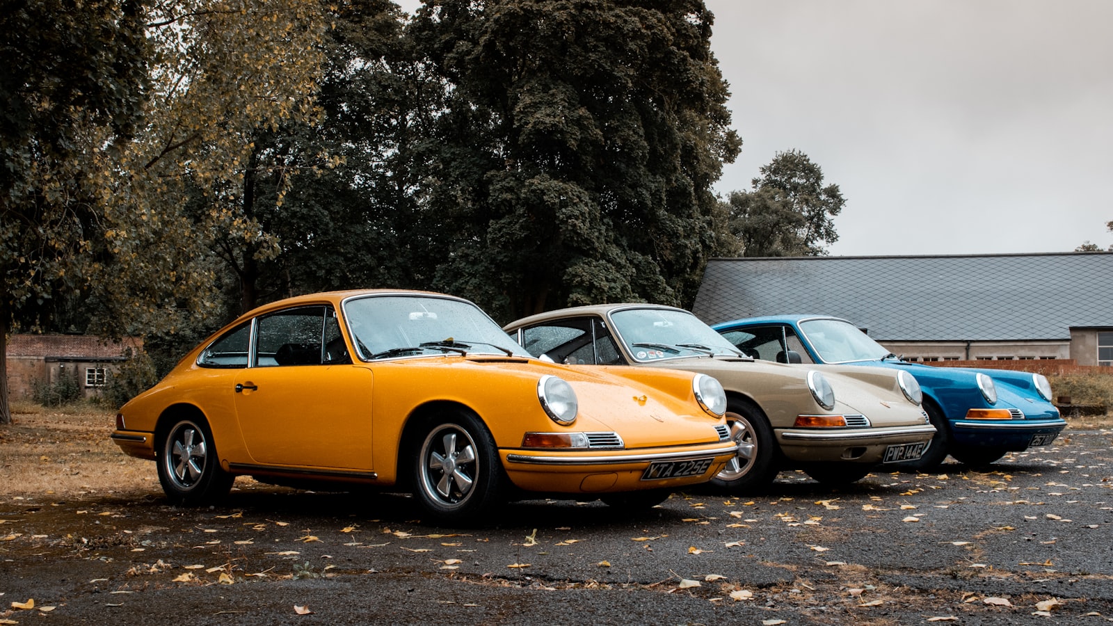 Reihe klassischer Sportwagen im Herbstlaub
